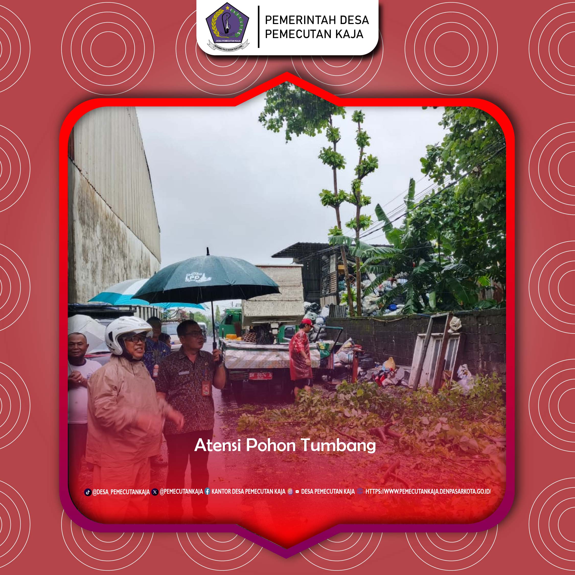 Atensi pohon Tumbang 